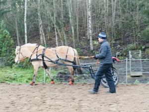 Jukka ajaa
